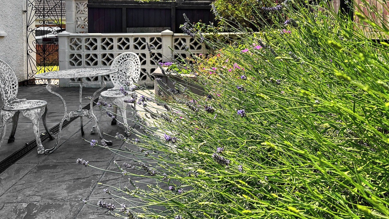 Photo of Others in Rhiwbina