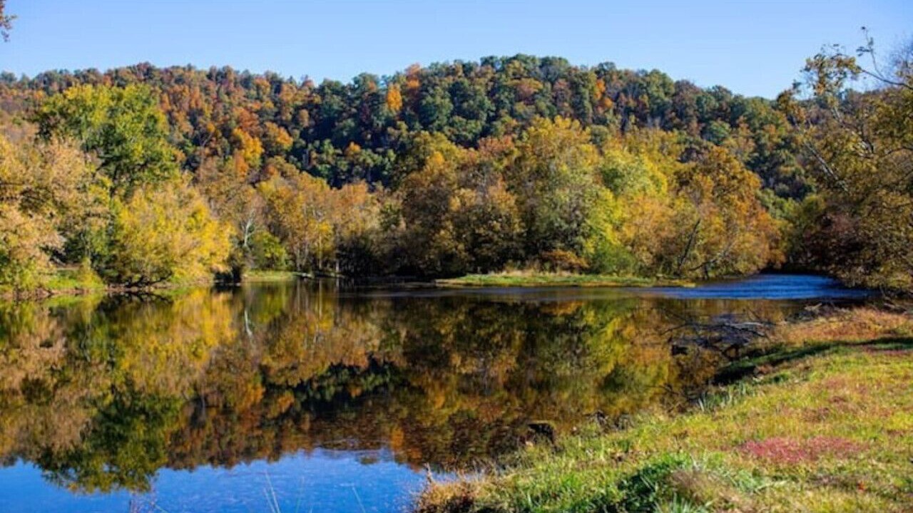 Photo of Others in Johnson City