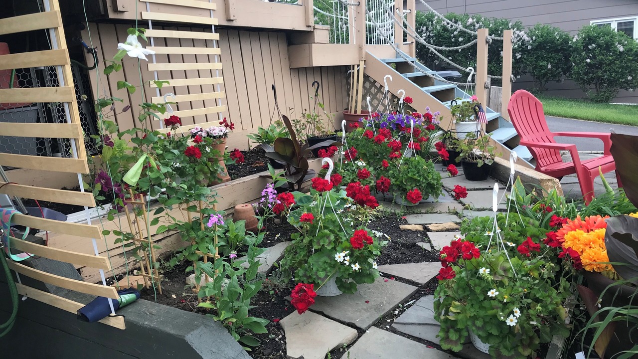 Photo of Outdoor in Canandaigua