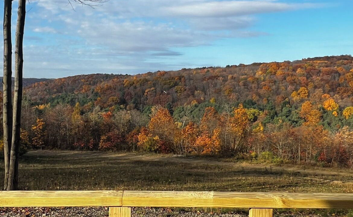 Photo of Others in Warren