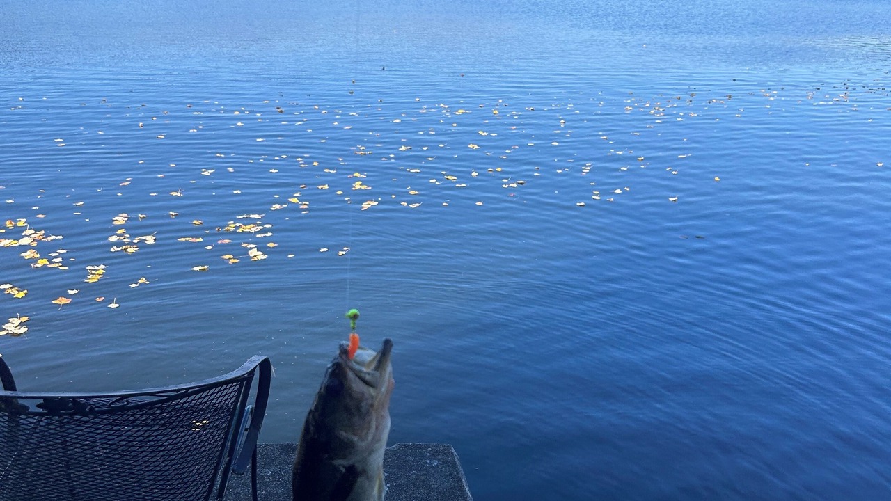 Photo of Others in Holmes