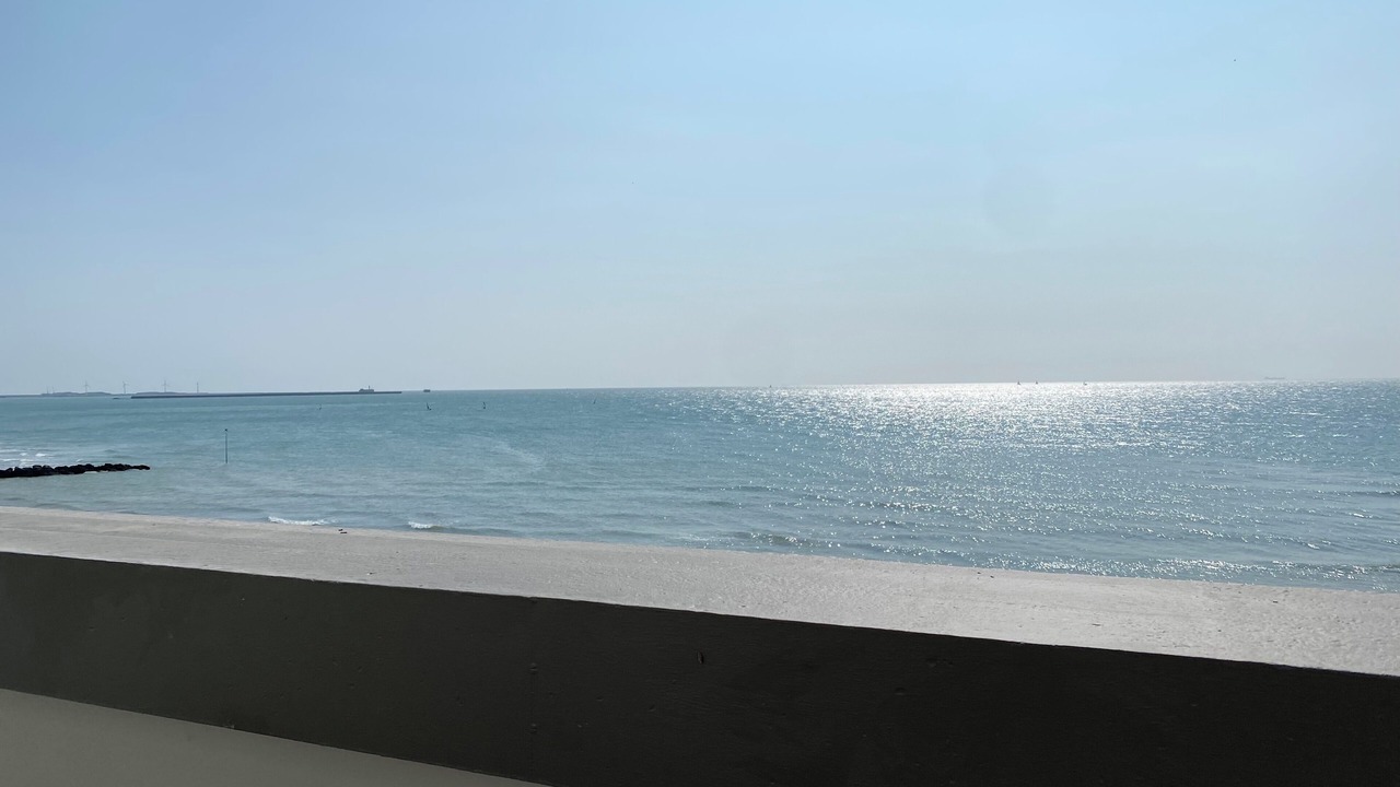 Photo of Others in Wimereux