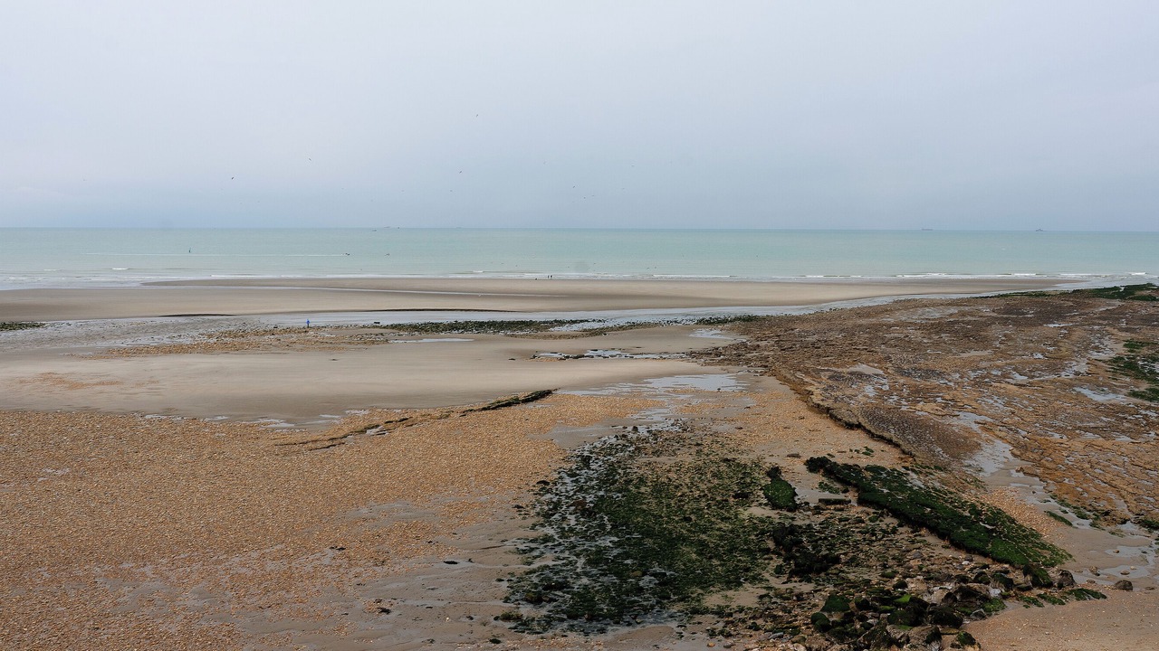 Photo of Others in Wimereux