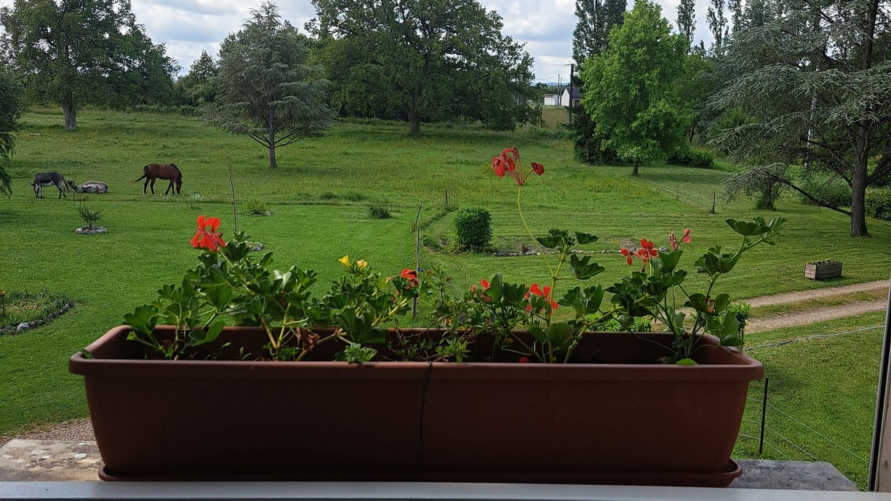 Photo of Others in Thenay