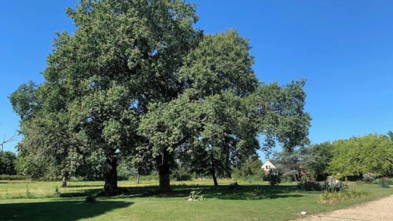 Photo of Others in Thenay