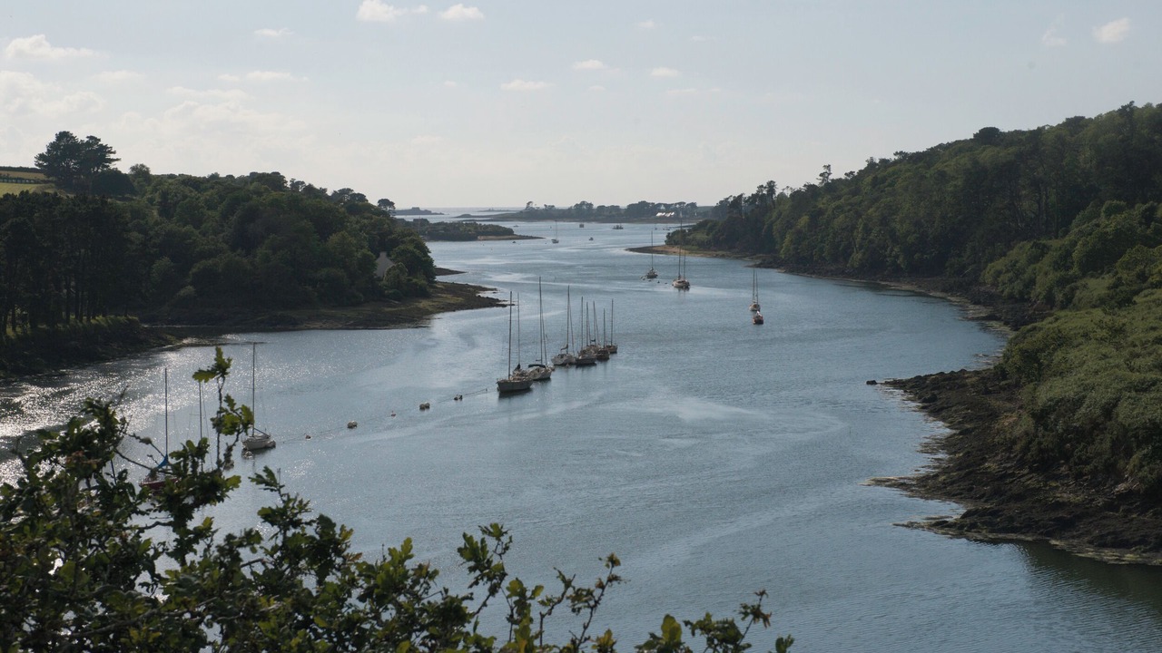 Photo of Others in Landeda