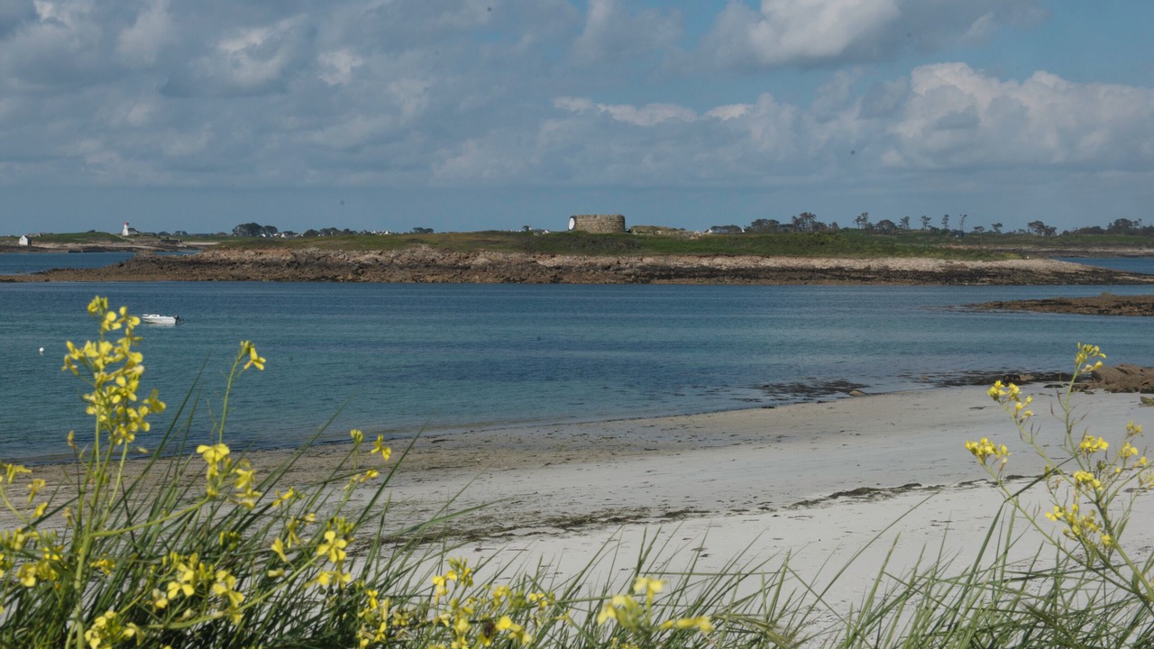 Photo of Others in Landeda