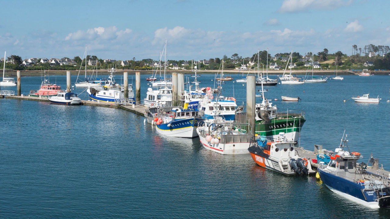 Photo of Others in Landeda