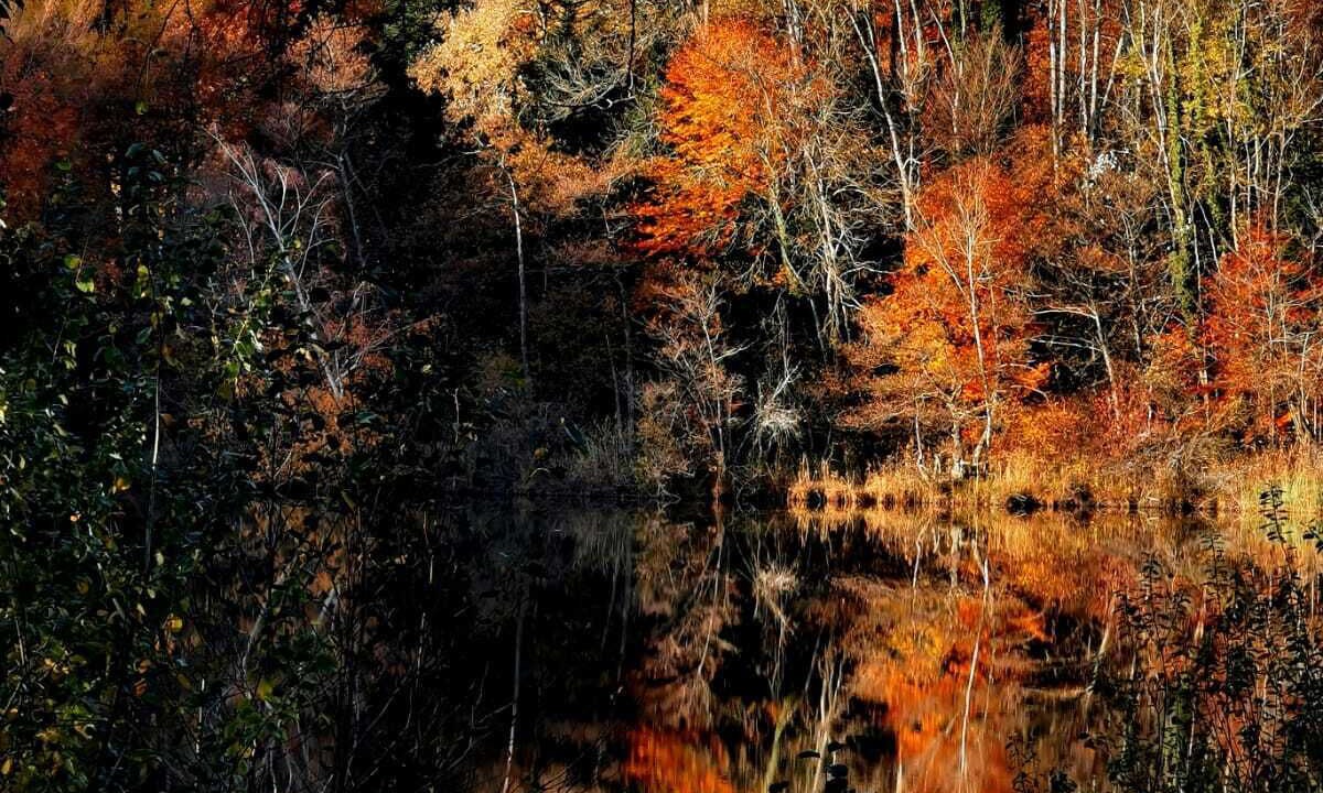 Photo of Others in Saint-Julien-de-Raz