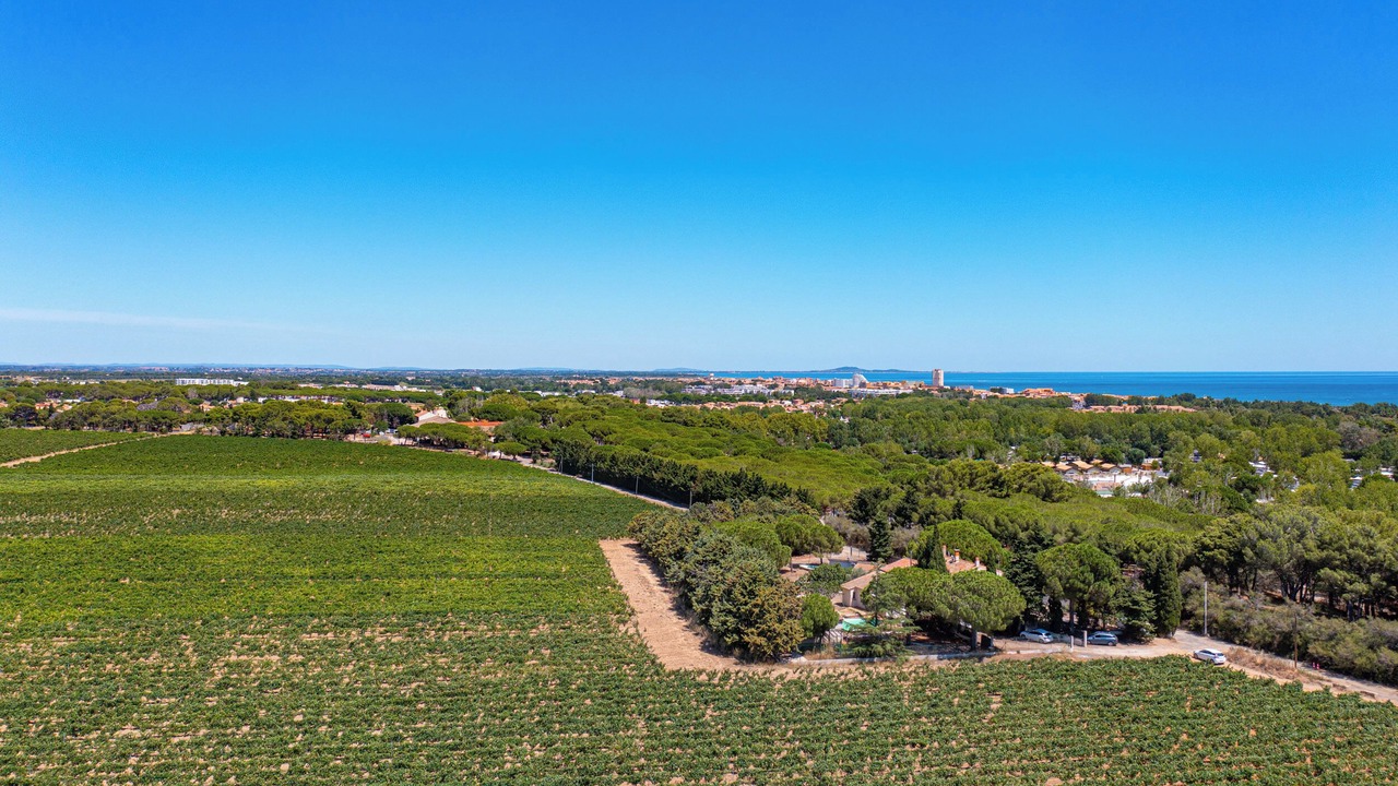 Photo of Outdoor in Vendres