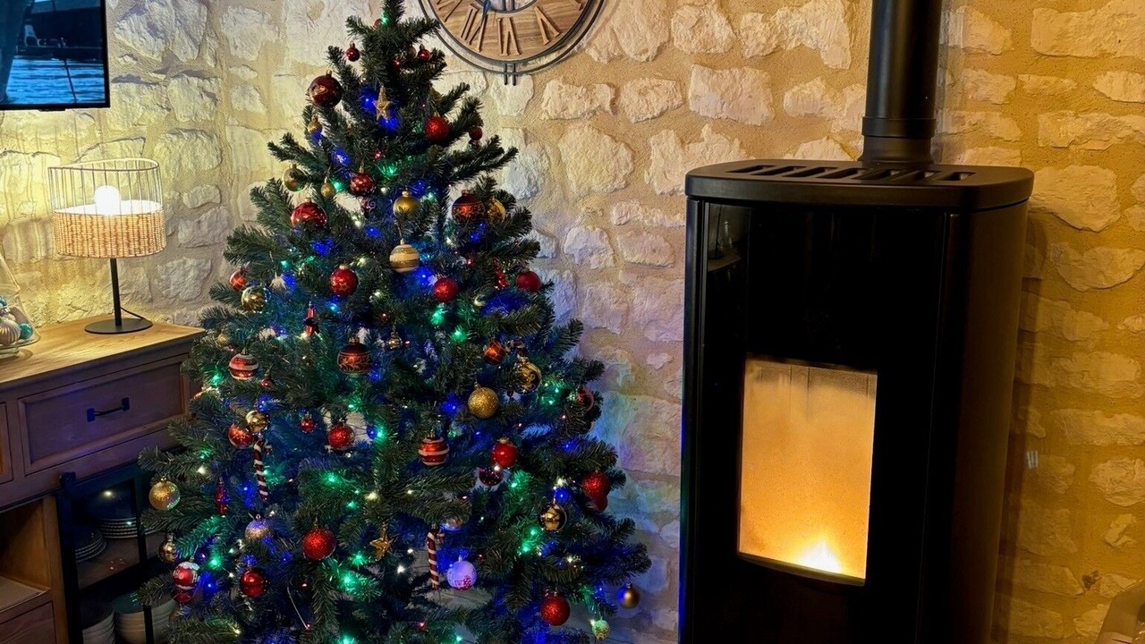 Photo of Others in Saint-Nicolas-de-Bourgueil