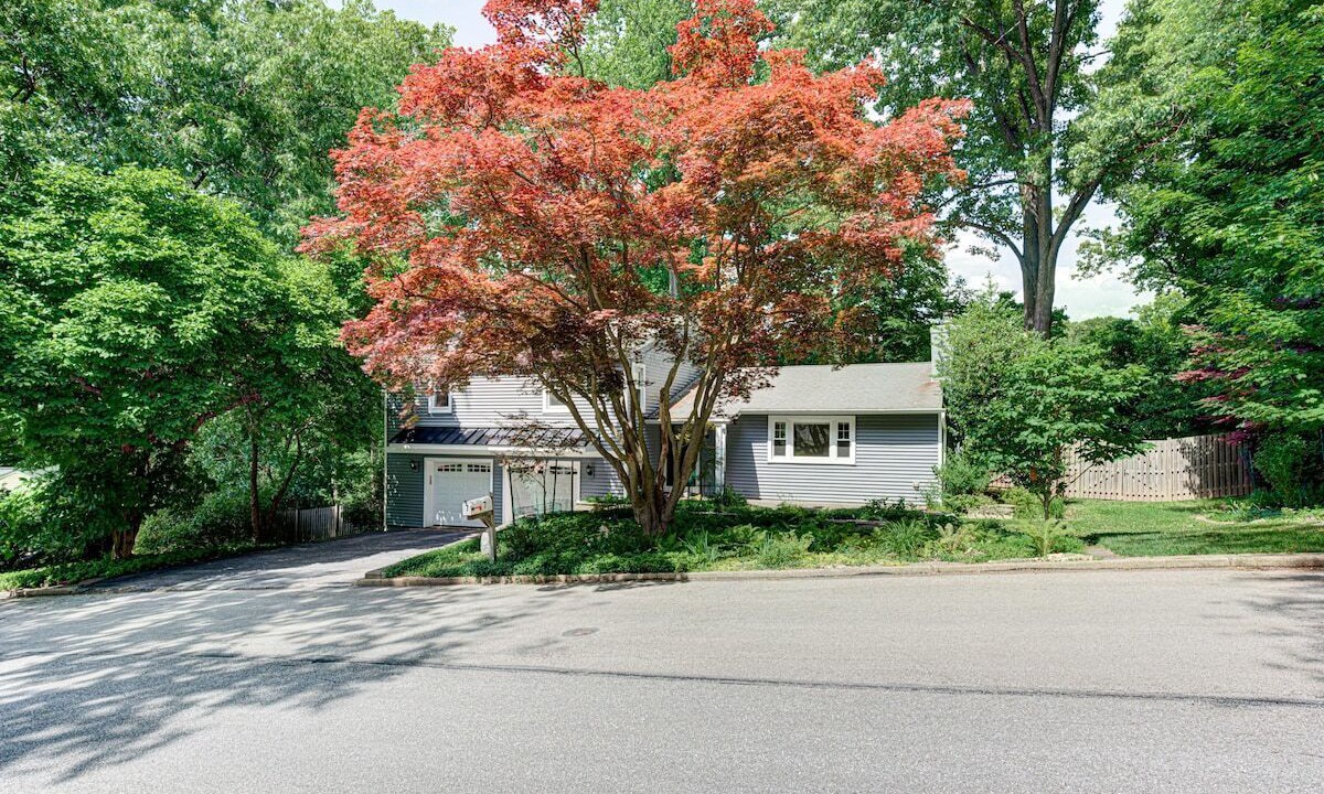 Photo of Outdoor in Berwyn