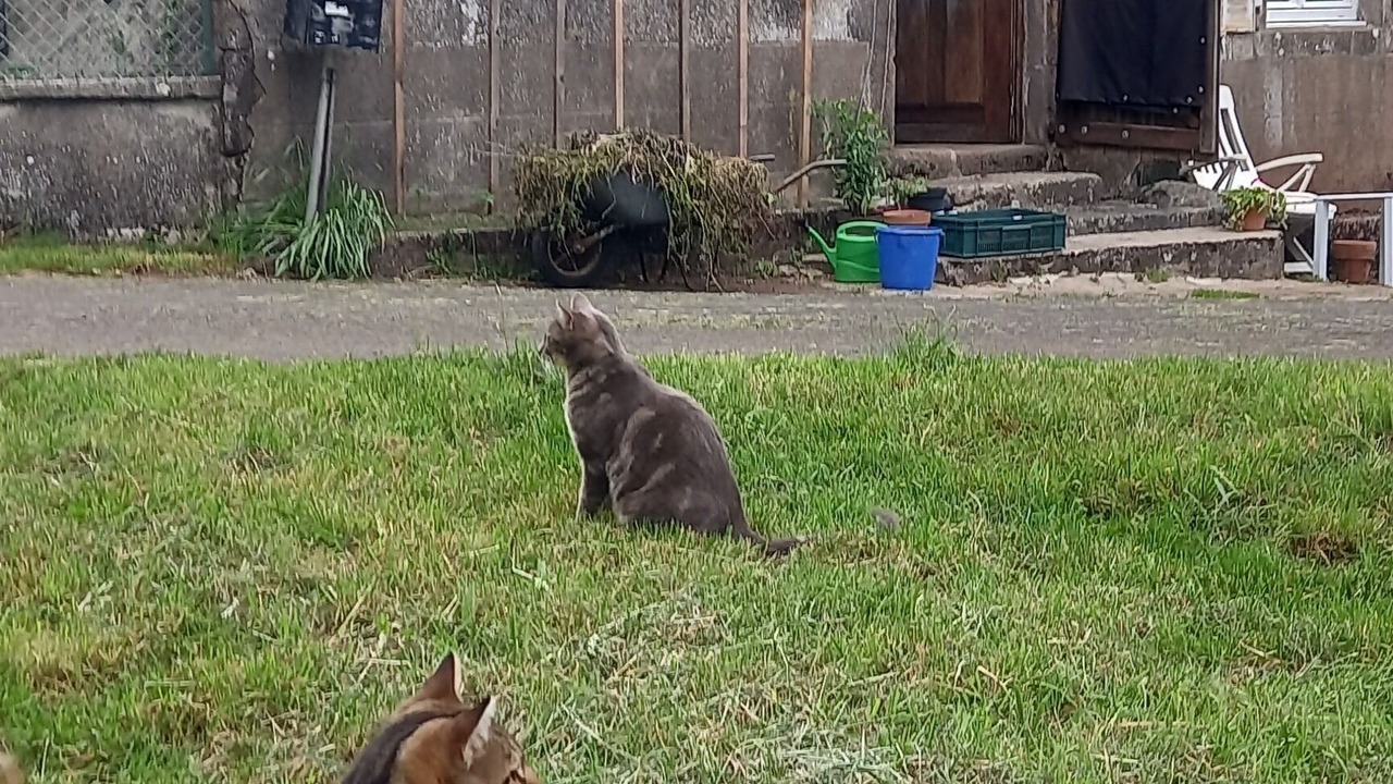 Photo of Outdoor in Sainte-Eulalie