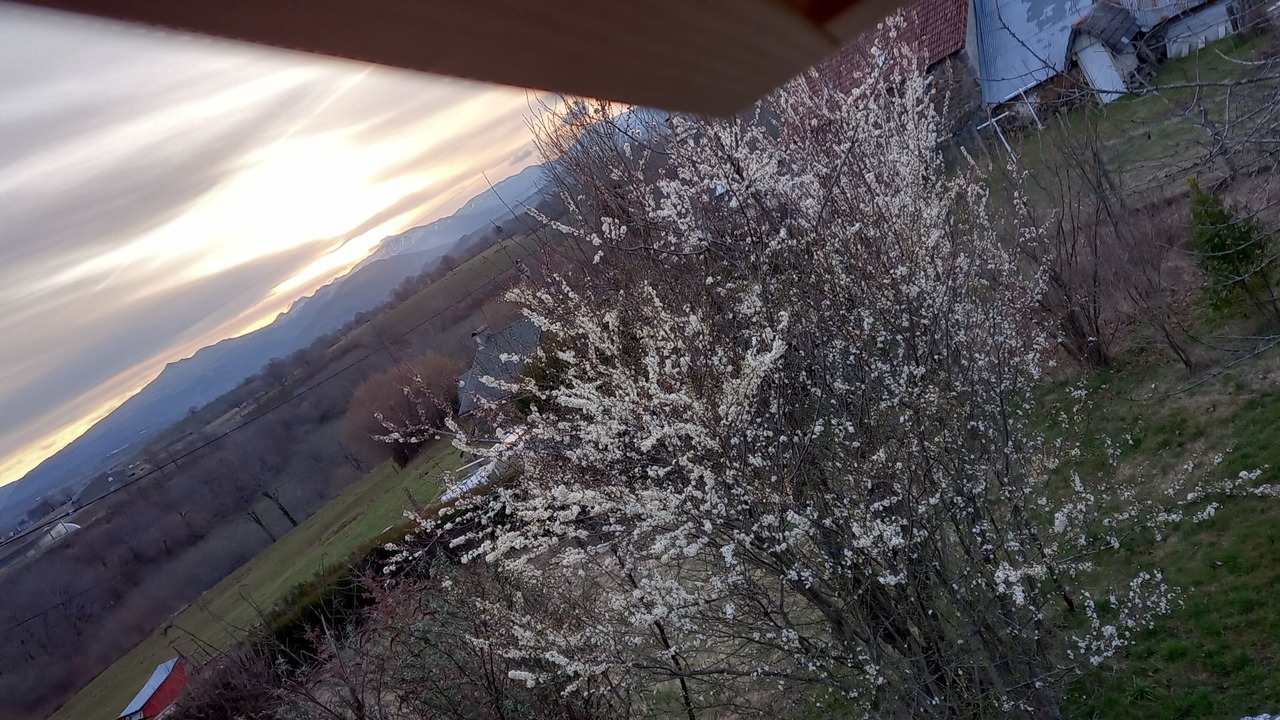 Photo of Others in Sainte-Eulalie