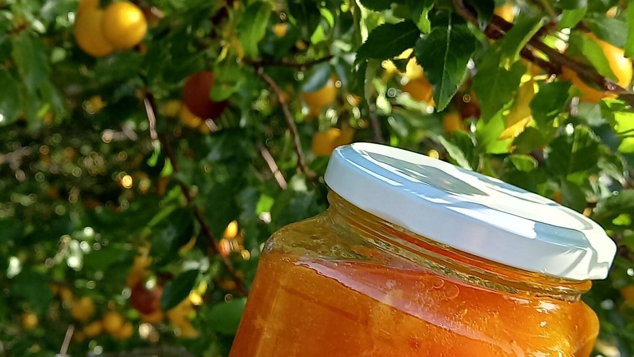 Photo of Others in Sainte-Eulalie