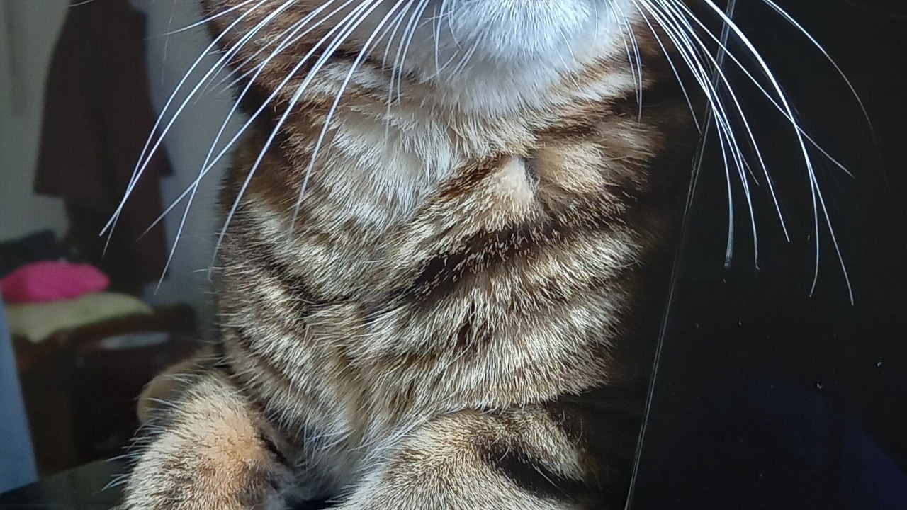 Photo of Others in Sainte-Eulalie