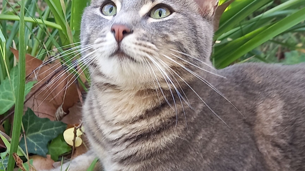 Photo of Others in Sainte-Eulalie