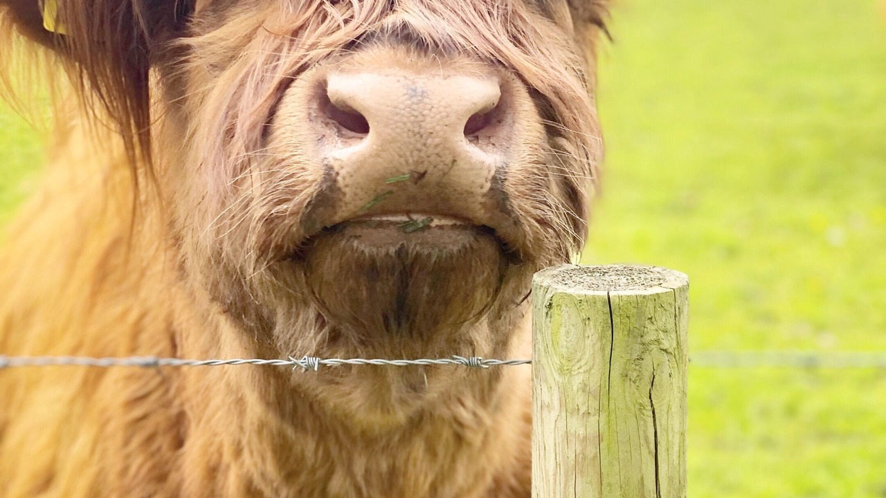 Photo of Others in Woodham Ferrers