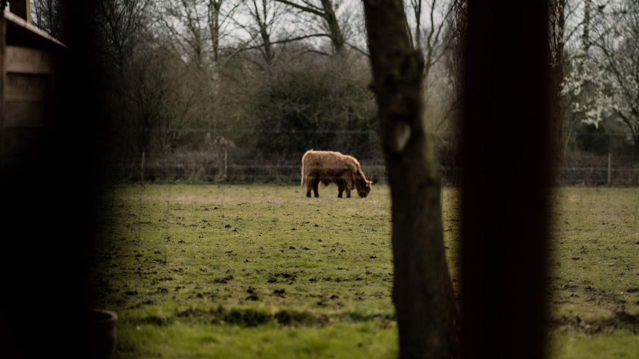 Photo of Others in Woodham Ferrers