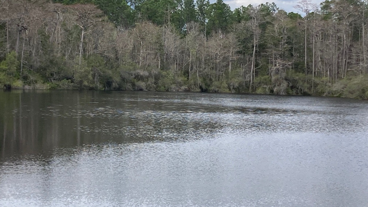 Photo of Others in Carrabelle