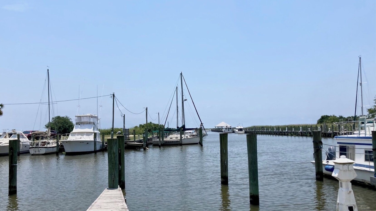 Photo of Others in Carrabelle