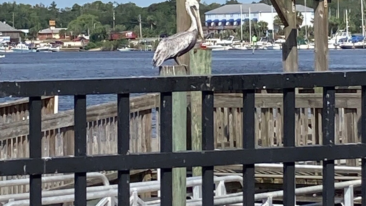 Photo of Bathroom in Carrabelle