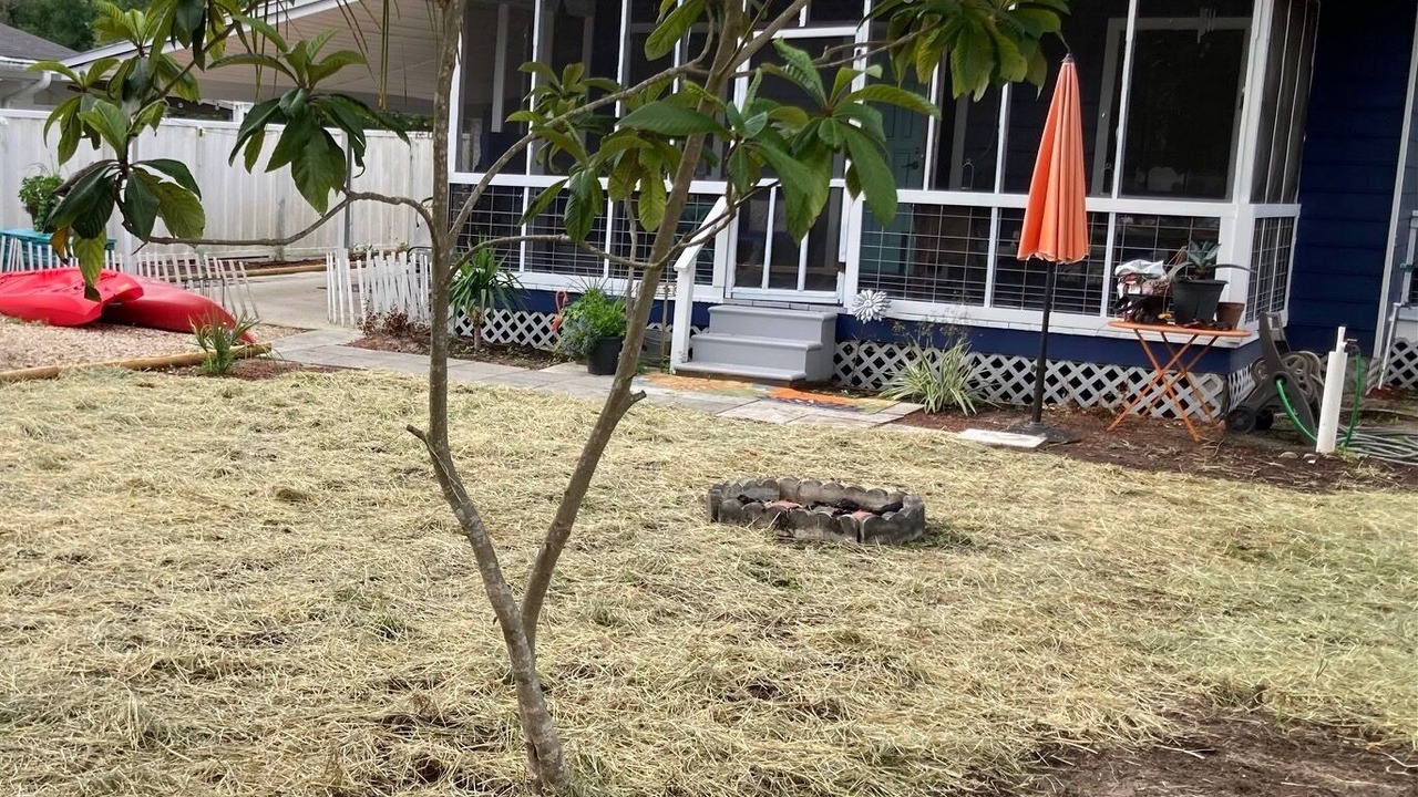 Photo of Outdoor in Carrabelle