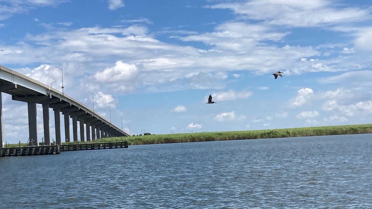 Photo of Others in Carrabelle