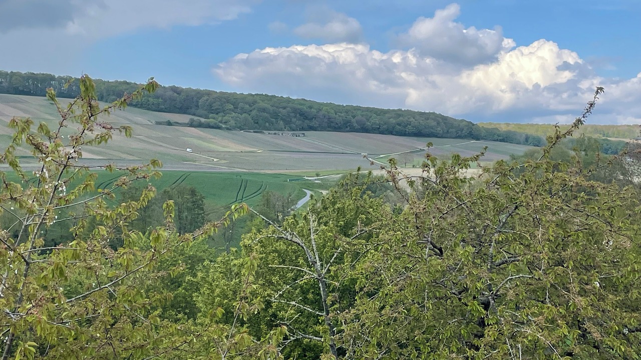 Photo of Others in Baslieux-sous-Chatillon