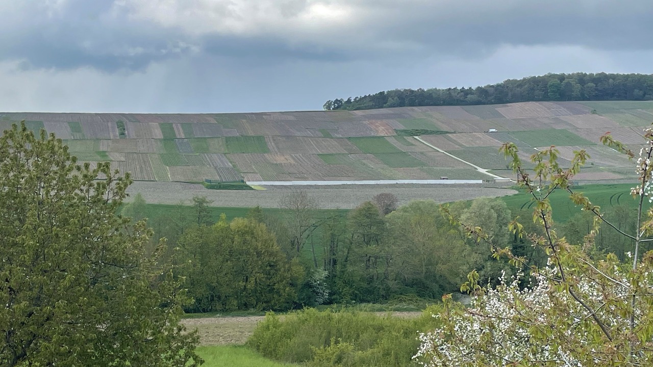 Photo of Outdoor in Baslieux-sous-Chatillon
