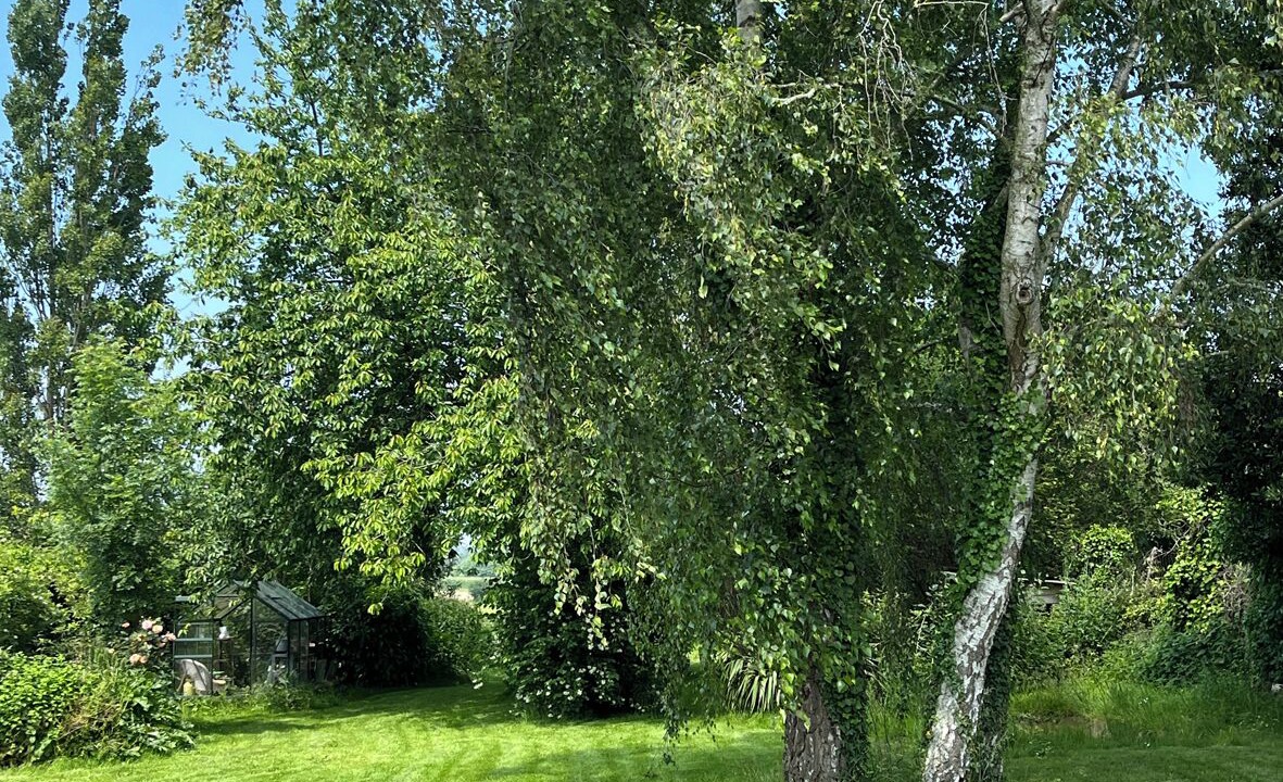 Photo of Outdoor in La Ville-es-Nonais