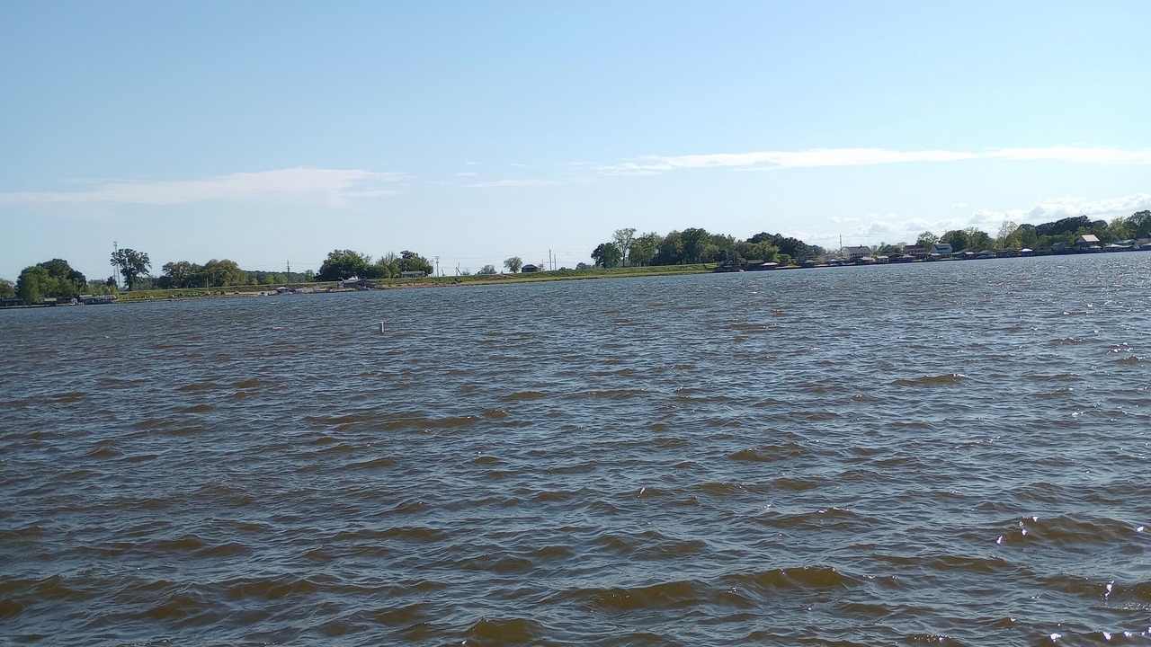 Photo of Outdoor in Jarreau