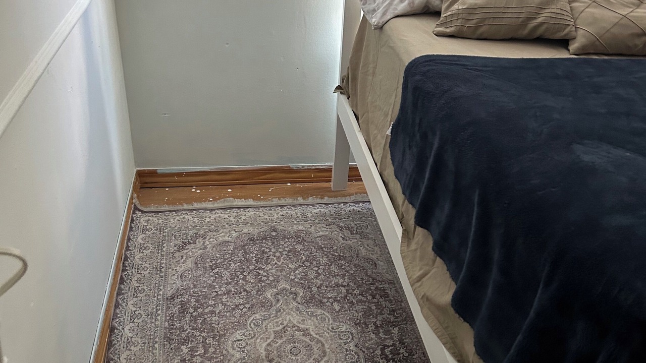 Photo of Bedroom in Streamwood