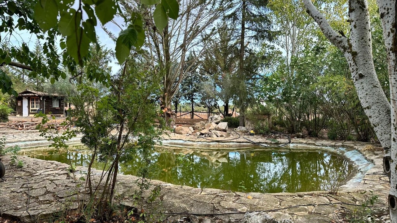 Photo of Outdoor in Archidona