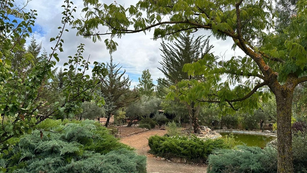 Photo of Outdoor in Archidona