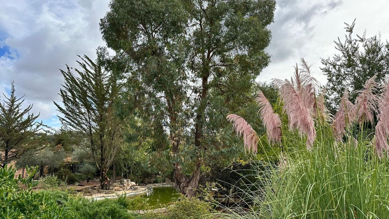 Photo of Outdoor in Archidona