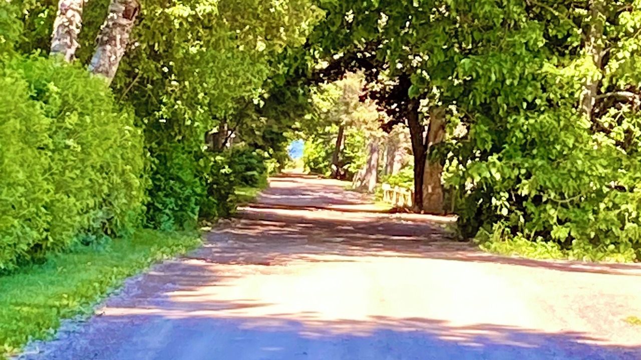 Photo of Others in Shediac