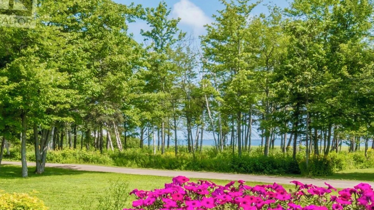 Photo of Outdoor in Shediac