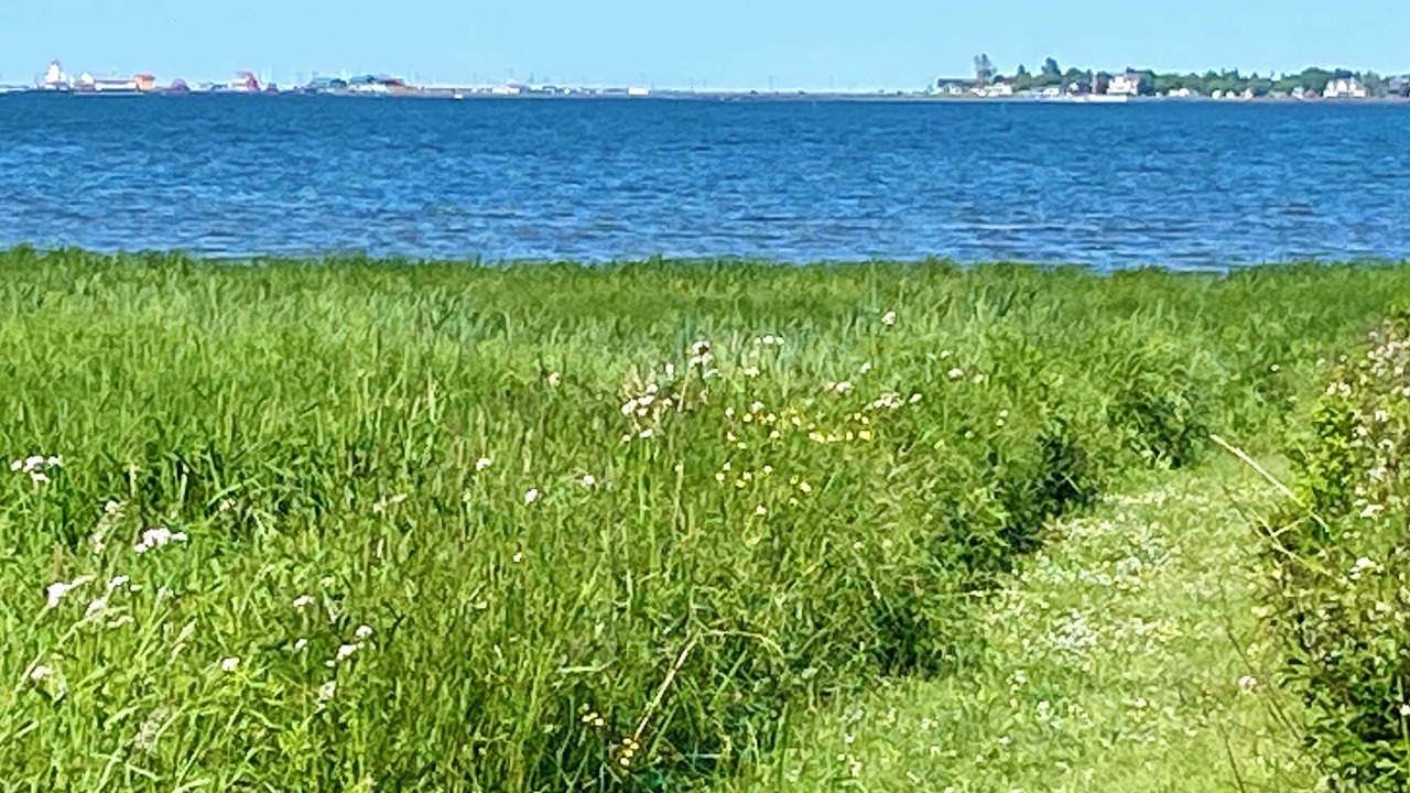 Photo of Others in Shediac