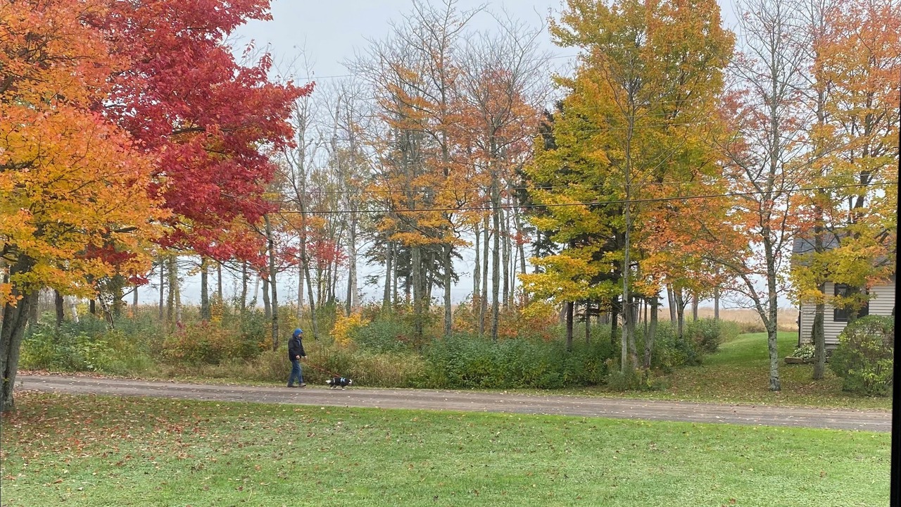 Photo of Others in Shediac