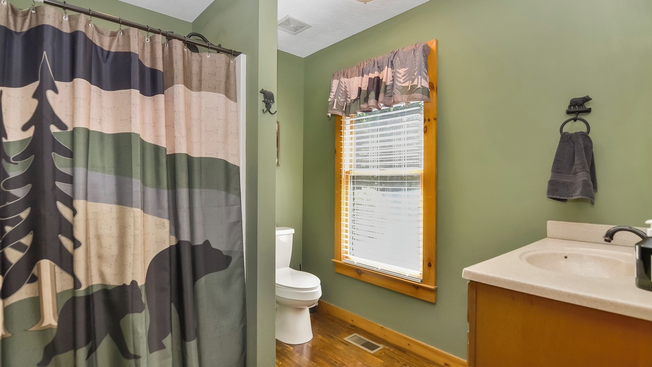Photo of Bathroom in Ellijay