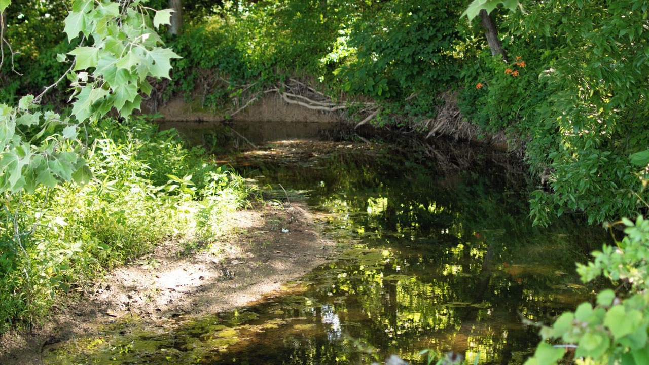 Photo of Outdoor in Vallonia