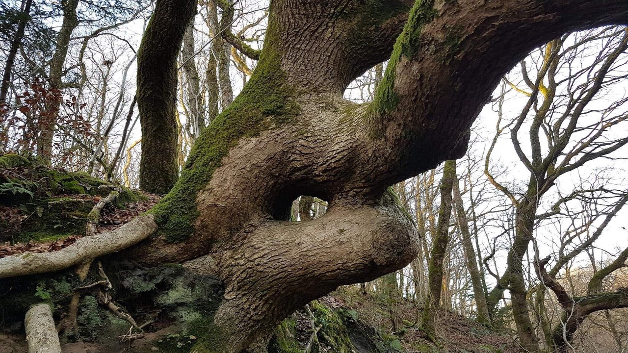Photo of Others in Brovst