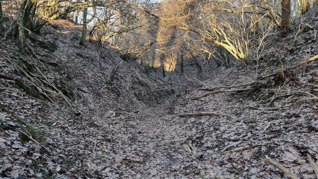 Photo of Others in Brovst