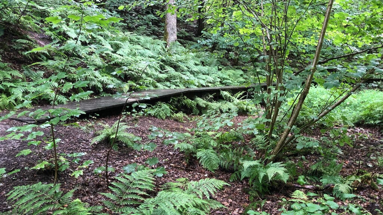 Photo of Outdoor in Brovst