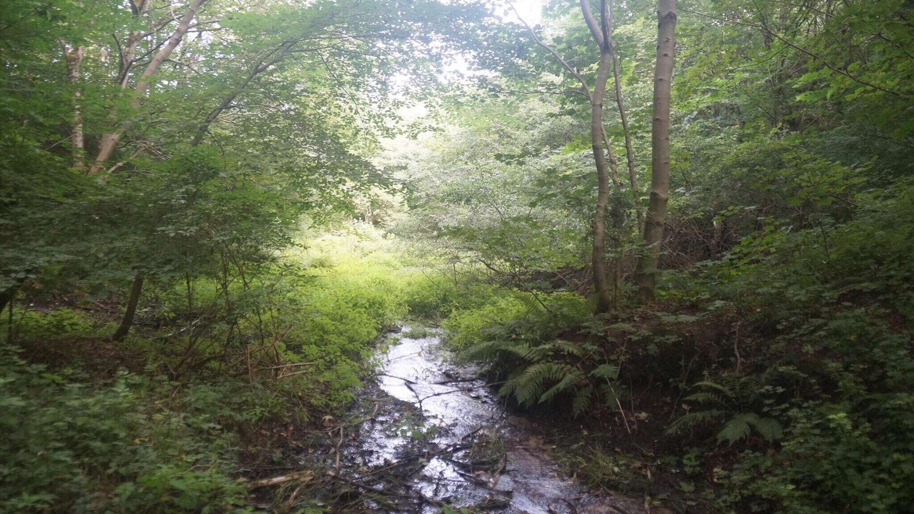 Photo of Others in Brovst