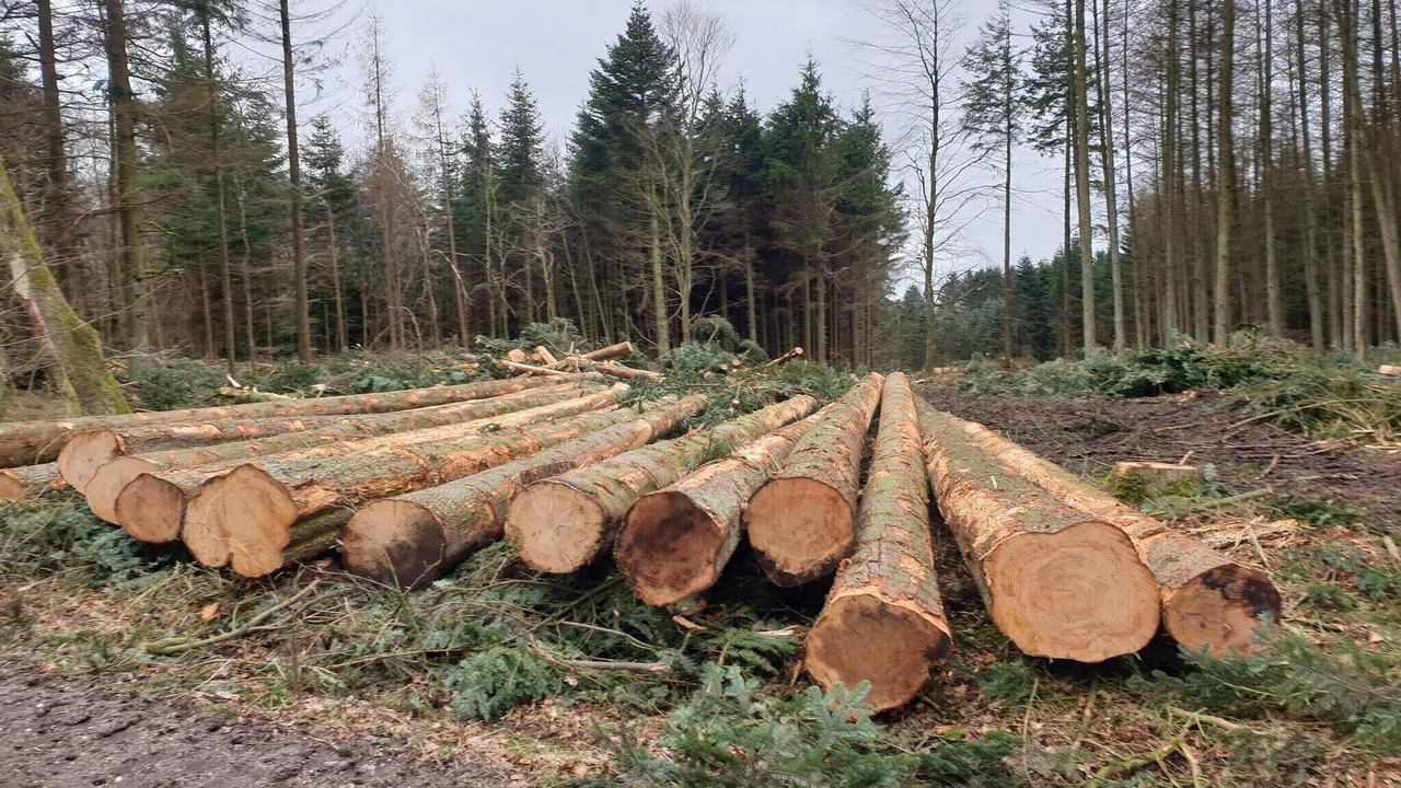 Photo of Others in Brovst