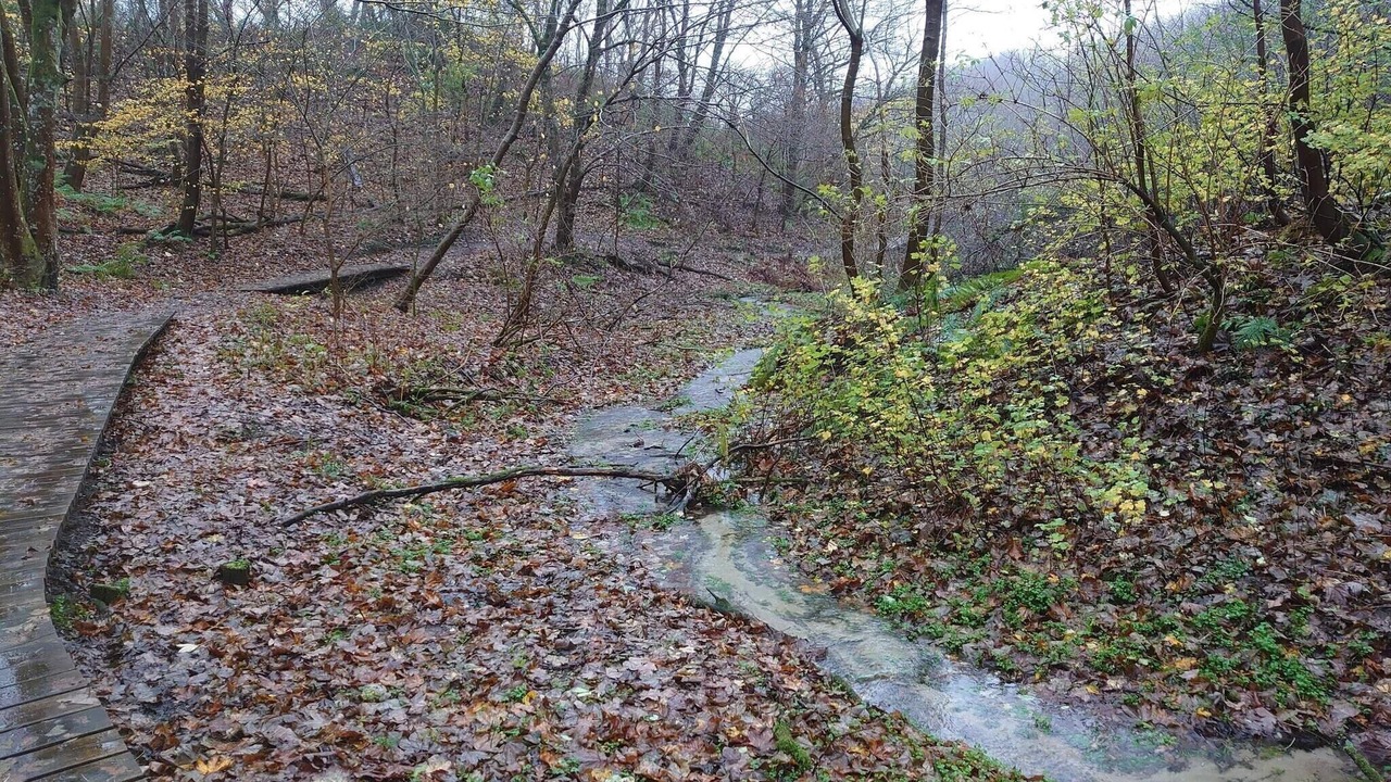 Photo of Others in Brovst