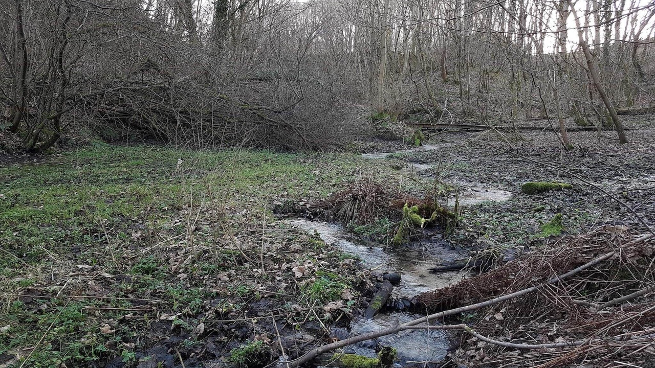 Photo of Others in Brovst