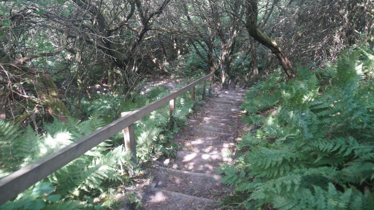 Photo of Outdoor in Brovst
